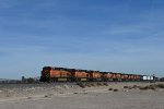 BNSF 6989 West